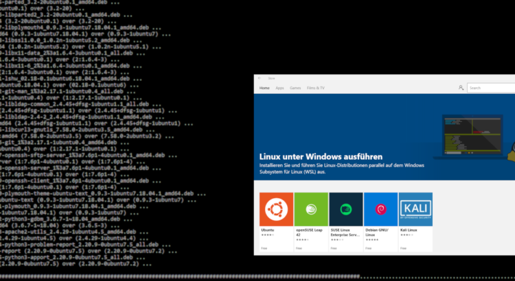 Beitragsbild für Linux in Windows