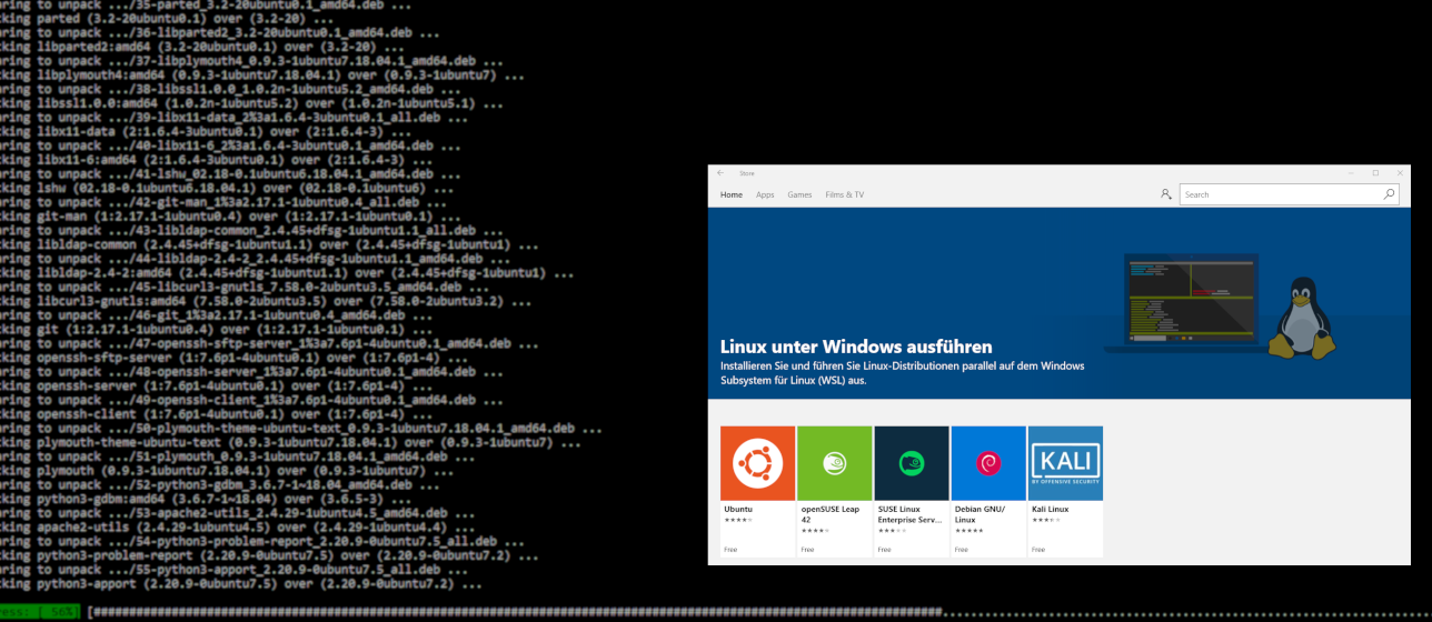 Beitragsbild für Linux in Windows